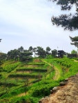 10화 고창 선운사 & 고창읍성