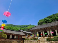 10화 고창 선운사 & 고창읍성