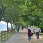 건강하고 즐겁게 걷는 하남 산책길