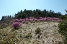 지리산 순례길 2