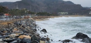 25화 혼자 걷는 해파랑길, 솔숲 넘어 바람은 귀를 간질이고