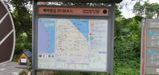 09화 혼자 걷는 해파랑길, 샘물의 기적