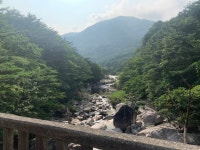 이너피스를 찾아서