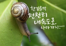 캘리그래피라는 신세계