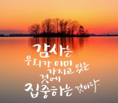 캘리그래피라는 신세계