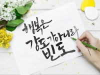 캘리그래피라는 신세계