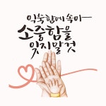 캘리그래피라는 신세계