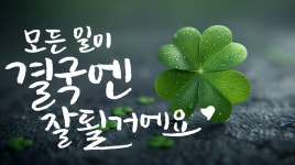 캘리그래피라는 신세계