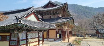 11화 코로나 난민(難民) 일기(8) 나흘째