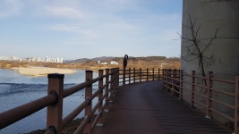 세종시 산책(2): 금강변 트레킹