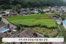 영풍 석포제련소가 위치한 경북의 국내 유일의 대마재배지