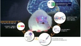 12화 융합형 독서 토론 모임 : 호모데우스-2
