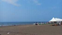 삼양해수욕장의 재발견
