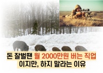 돈 잘벌땐 월 2000만원 버는 직업 이지만..