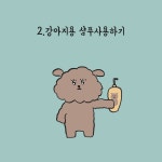 강아지 목욕 주기와 방법