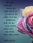 아침. 동이 트는 풍경.