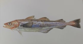미술교실 3. 3~5일차