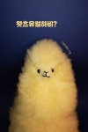 [브런치북] 왓츠유얼하비?