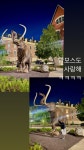 10화 ~시카고 여행기~