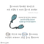 몽상가 물고기자리