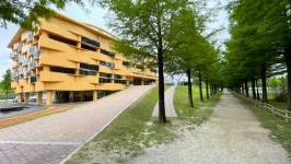 6월의 푸르름 속으로