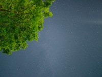 하늘 별 밤 노래 당신