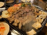 수원 여행 수원 여행 