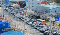 동부산 정체 이유 있었다
