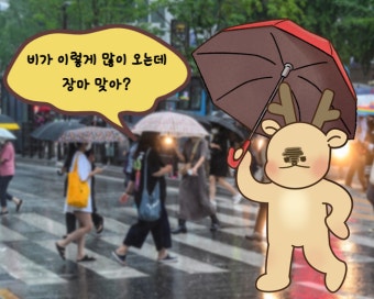 '극한 호우', 이거 아나?