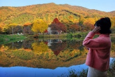 요즘 가을 분위기 제대로 느낄 수 있다는 공주 여행