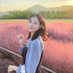 인생샷 가능 지금 제일 예쁠 때라는 전국 핑크뮬리 인생샷 가능 지금 제일 예쁠 때라는 전국 핑크뮬리 