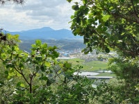 상주 봉황산(740m)