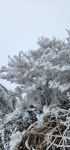07화 아름다운 설산