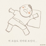 콩깍지