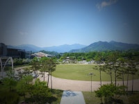 300여 년 느티나무 아래 번지없는 주막