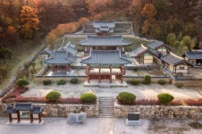 영천을 육회의 도시로 만든 편대장 영화식당