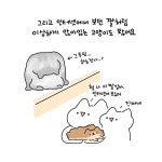 01화 병원 고양이=좋은 동물 병원의 기준