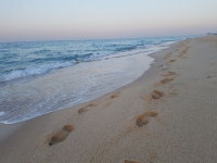 [브런치북] 나는 나, 내 컬러는 내가 정해!