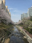 [연재 브런치북] 용인 수지 생활설명서