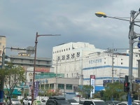 창원 마산, 어시장부터 해변가 둘레길까지 창원 마산, 어시장부터  해변가 둘레길까지