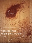 행복했던 나만의 특별쇼