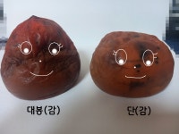 12화 대봉이가 있어서 다행이야