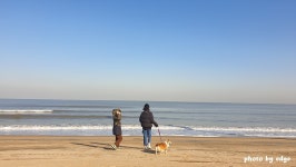이산가족 상봉. 드디어 중국에서 완전체 이산가족 상봉. 드디어 중국에서 완전체 