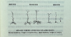 07화 사회적인 뇌 치유하기 7