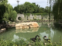 11화 11. 레드 브릭 뮤지엄 红砖美术馆