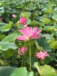 07화 옛 군사 출병의 문, 덕승문 德胜门