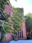 11화 11. 레드 브릭 뮤지엄 红砖美术馆