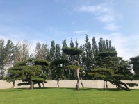 09화 09. 송미술관 松美术馆
