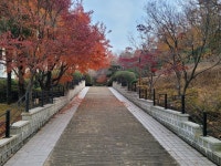 71. 부산박물관 탐방기