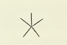 14화 선의 합창  